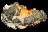 Cerussite Crystals with Bladed Barite on Galena - Morocco #82352-1